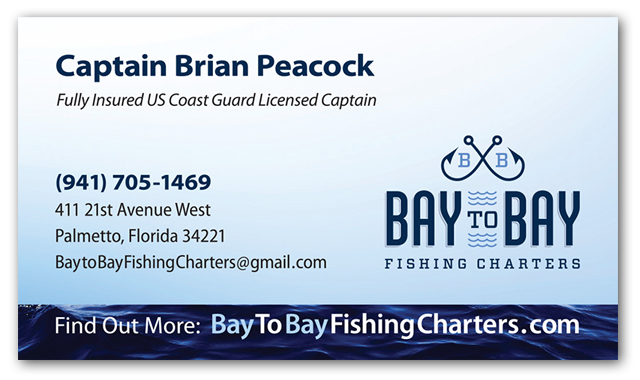Bay To Bay Fishing Charters